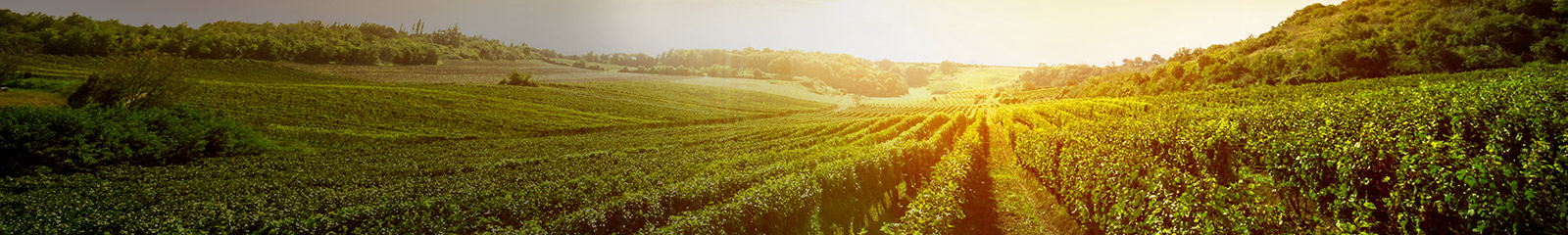 sub-agriculture